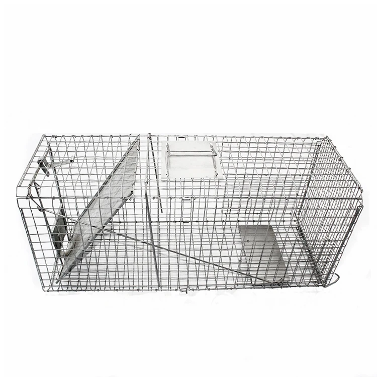Steel Animal Plant Design Rat/Mouse Trap Cage Custom-Packed Pest Control for Farm/Grassland Mice Square Shape US Sheet Size