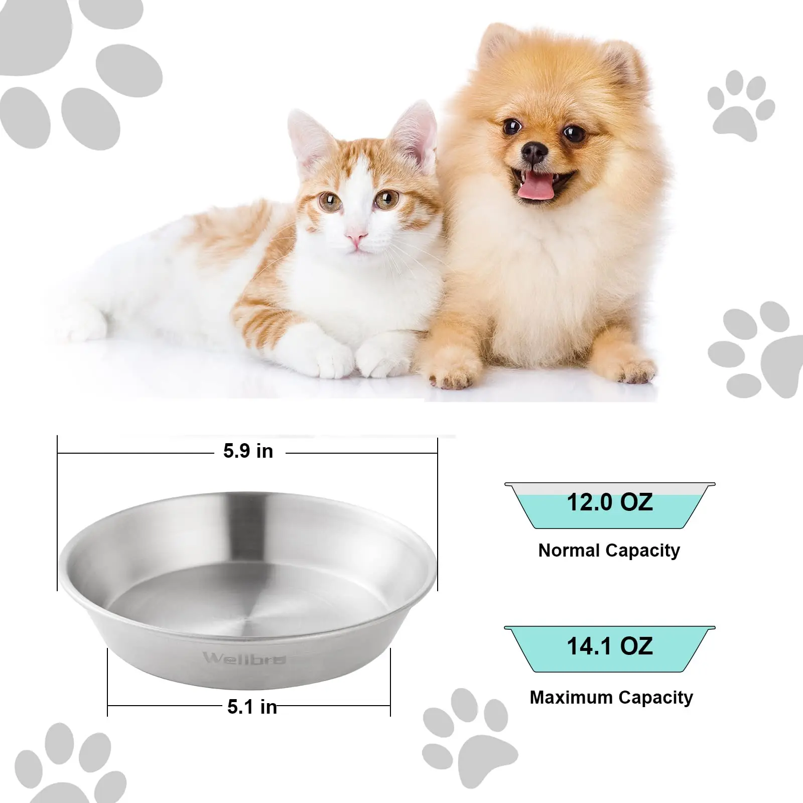 Whisker Fatigue Shallow Non-Slip Cat Dishes Plates for Small Dog Puppies Cat Bowls Stainless Steel Cat Bowls for Food and Water