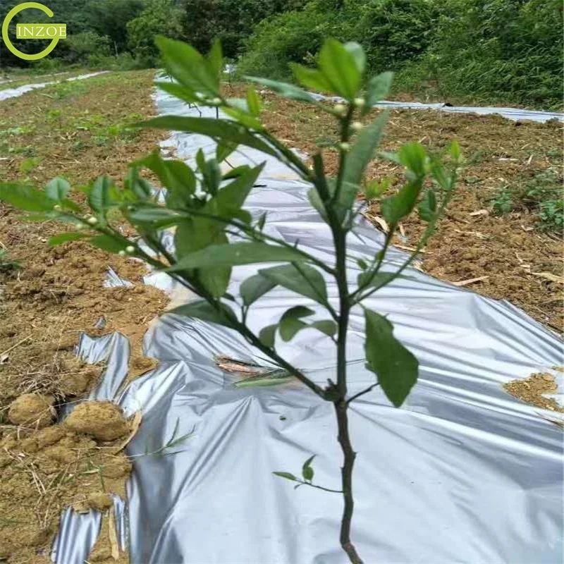  Конкурентоспособная цена черная серебряная пленка Mulch для