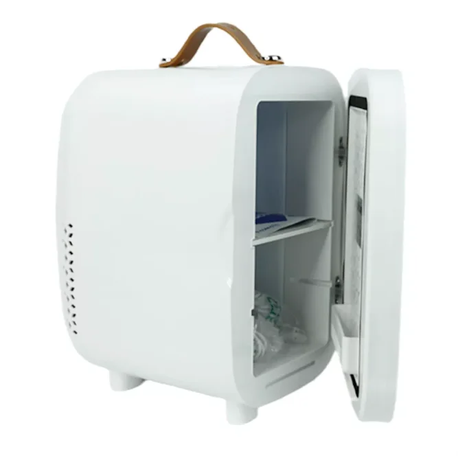 6L with 8 cans Wholesale Hot 10L DC 12V  AC 110V 230V Small Refrigerator CustomHotel Mini Bar beauty car Fridge