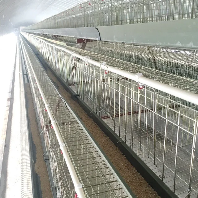  Проект по производству яиц курятник