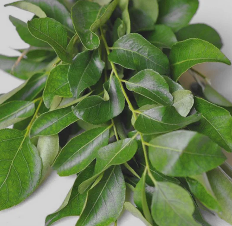 Wholesale raw natural sliced dried curry leaves for spice