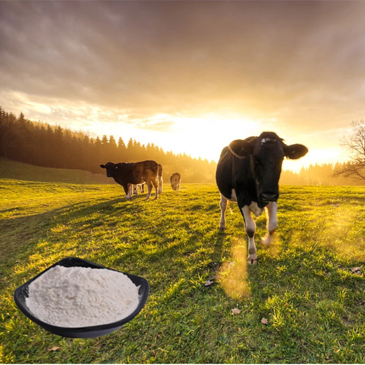 natural 90% bovine halal chondroitin sulfate price chondroitin sulfate sodium bovine 90%