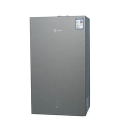 Good Quality Wall Mounted Natural Gas Tankless Natural Gas Water Heater /boiler