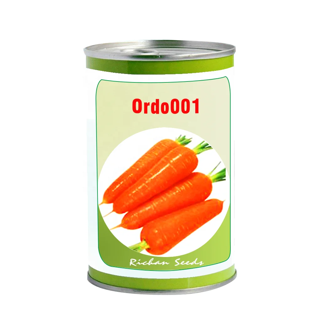 
choosen newest type storage resistance good commerical nutrient firm fruit orange color big and long fruit F1 carrot seeds 