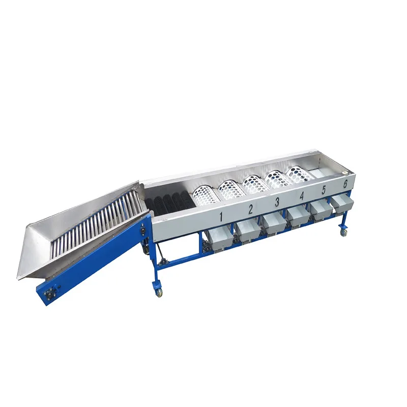 Citrus fruit sorting machine Fruit grading machine Drum type grading machinery