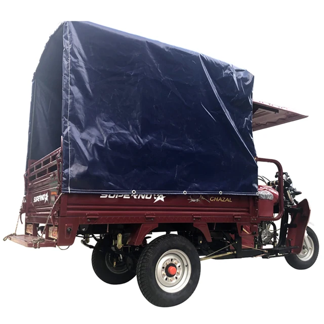 Three Wheel Motorized Cargo Tricycle 200cc Gasoline Cargo Tricycle for Adult With Roof