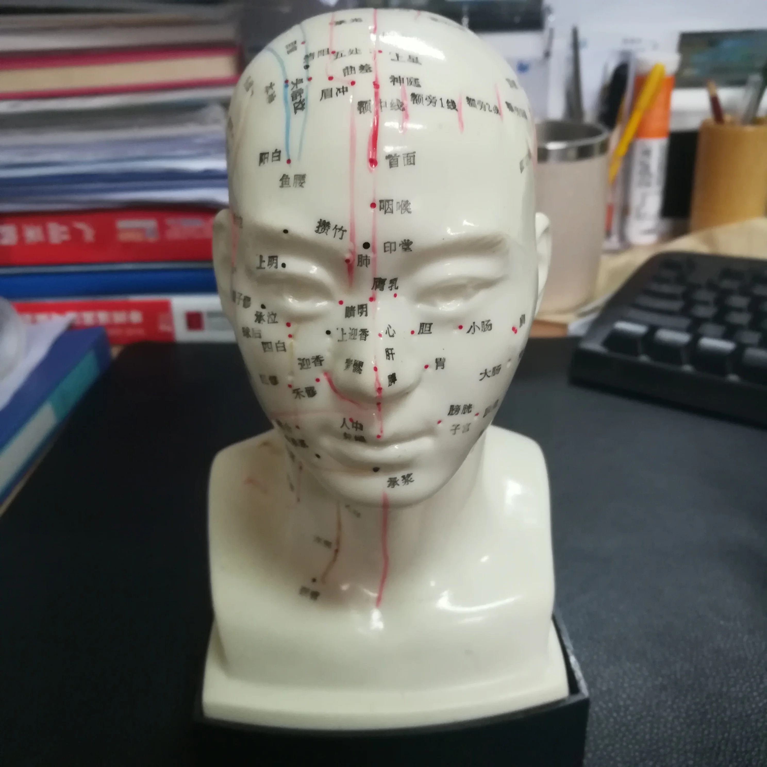 Eco-friendly PVC Medical Teaching Model 20cm Human Head Acupuncture Model