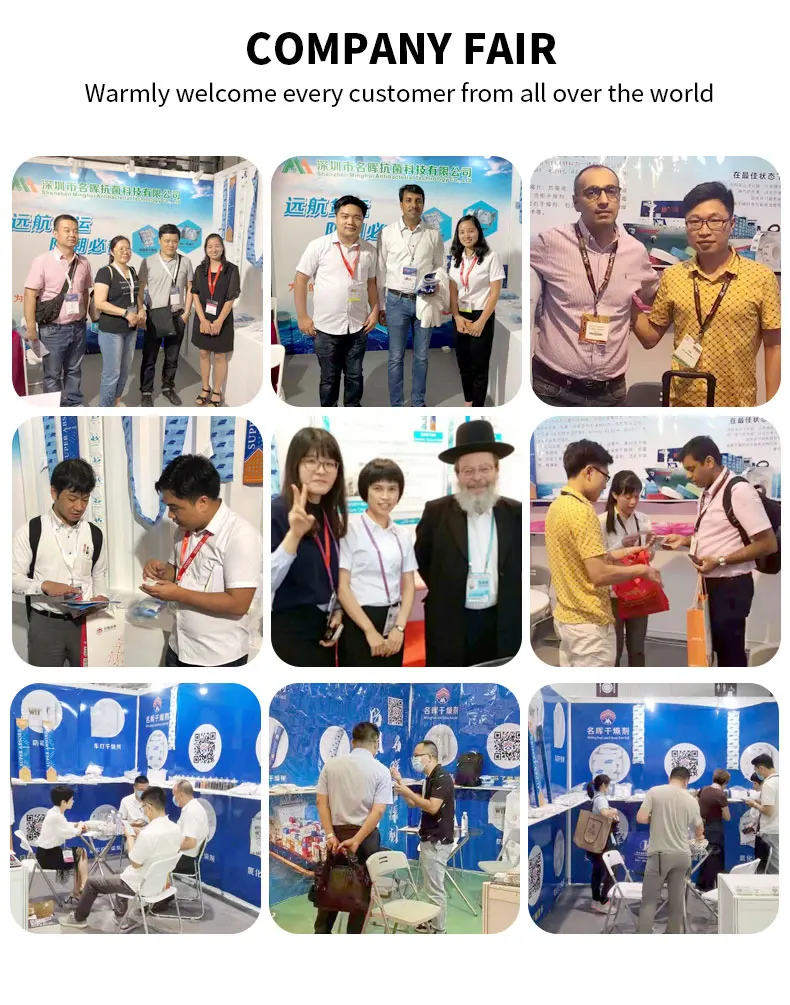 MINGHUI 5g Static Drying RoHS Reach DMF Standard Desiccant Silica Gel Desiccant Silica Gel Bag