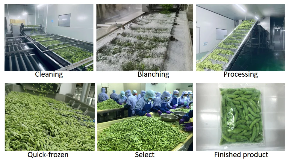 frozen edamame  frozen shelled edamame edamame bean frozen