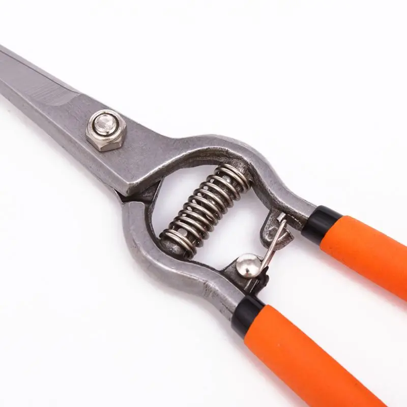 Custom Or Standard Competitive Price Forged Pruner