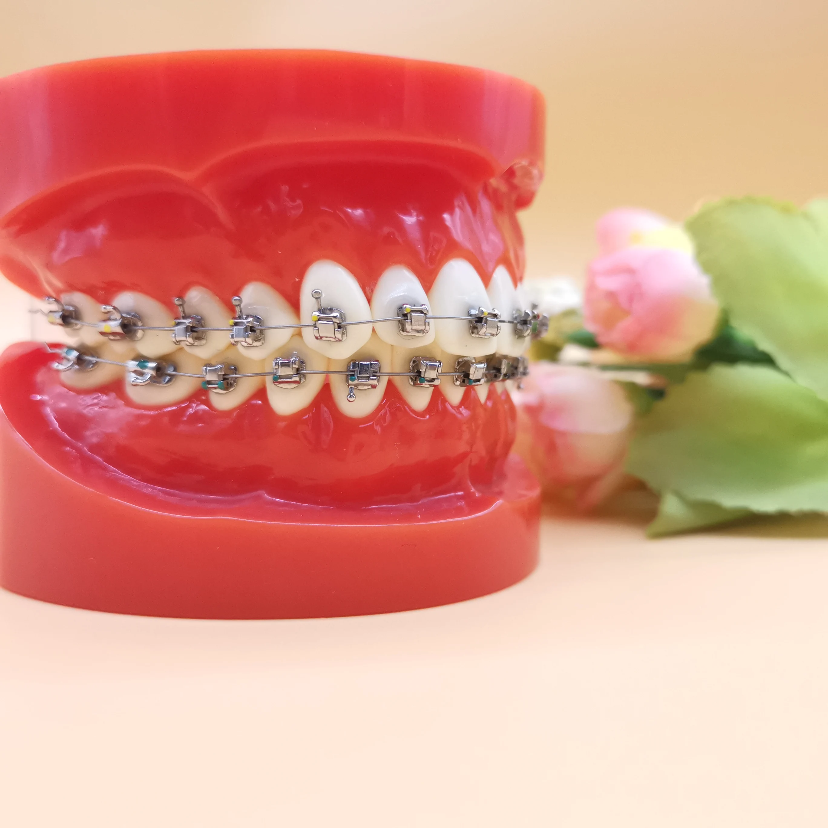 Manufacturer Orthoontic Metal Roth Passive Self Ligating Orthodontic Brackets Orthodontic Braces