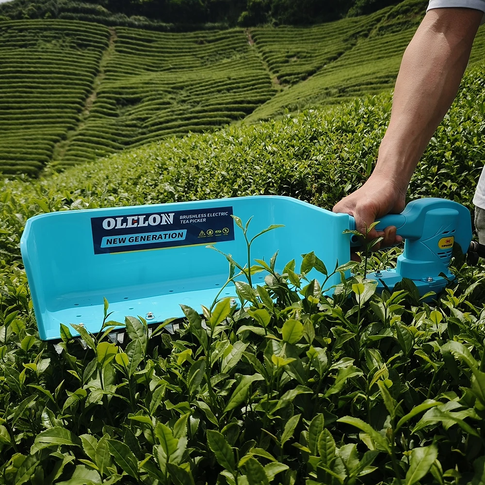 new technology  Waterproof  tea collection machine Electric cordless tea picking machine Tea Harvester Plucking
