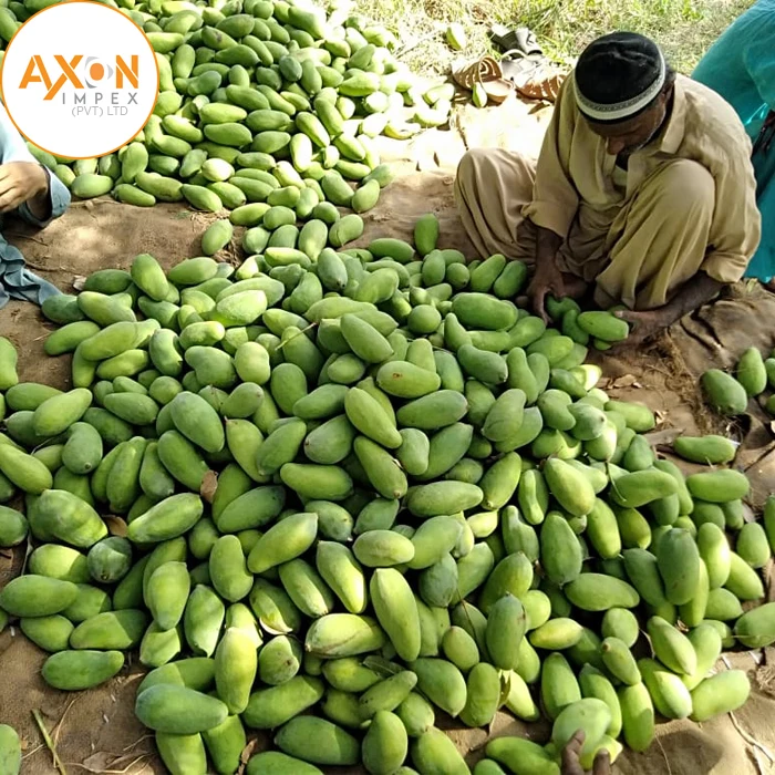 Манго ферма Пакистанская здоровая Органическая манго дешевая с 100% тропической природы свежие фрукты Wahapy еды Пакистан