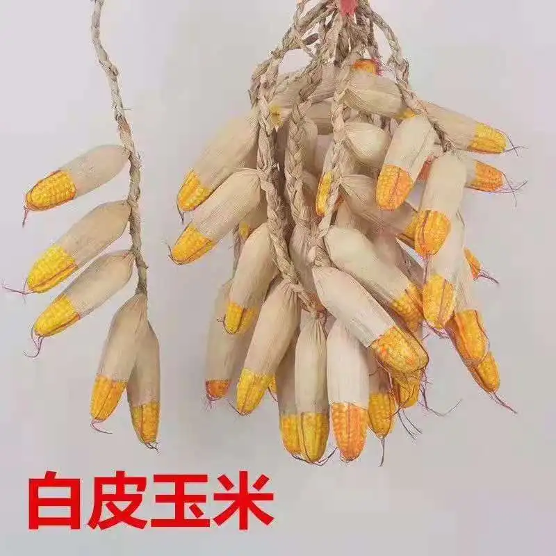 Plastic Artificial Onion Garlic String Fake Vegetable Home Party Christmas Harvest