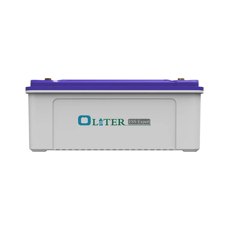 12V 24V LiFePO4 Lithium Ion Phosphate Lead Acid Replacement Batteries ABS Lithium Solar Battery for Residential
