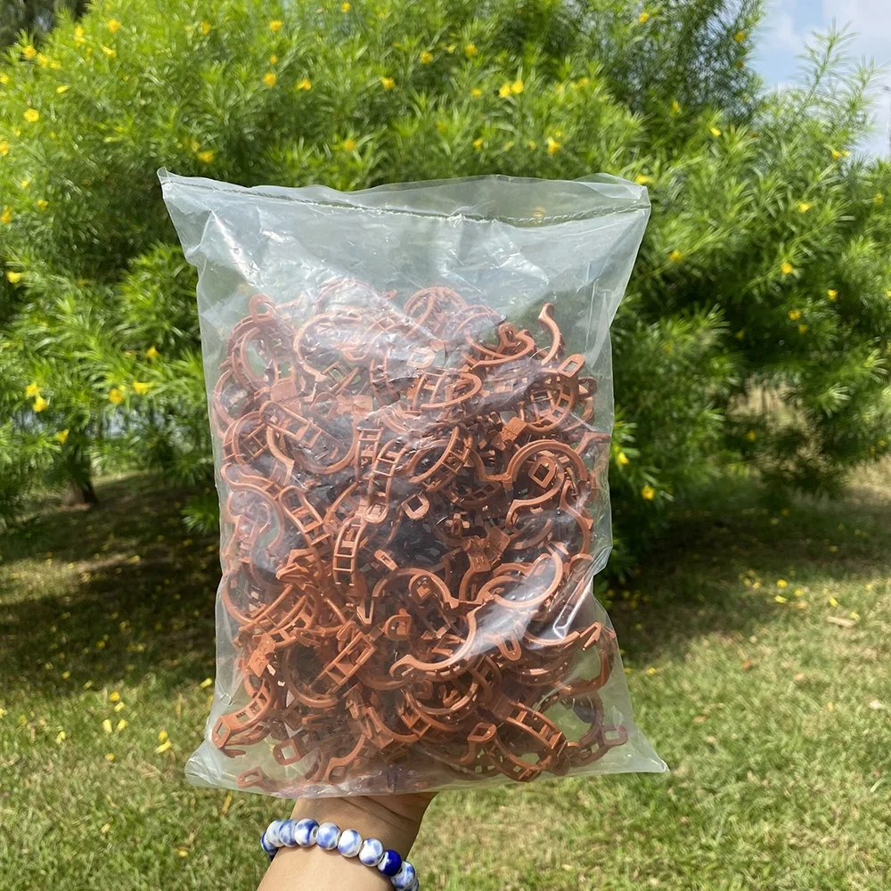100 pack small size spring plant staking loop gripper vine clips for wholesale