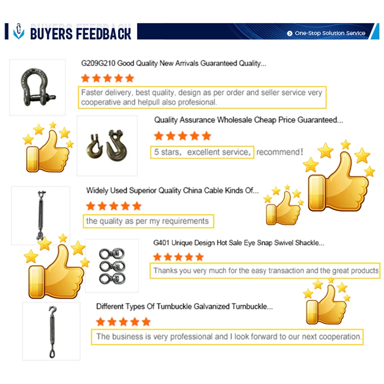 G70 Alloy Steel Towing Chain Hook Drop Forged Clevis Crane Lifting Slip Snap Hook H331/A331 Electric Galvanized Clevis Slip Hook