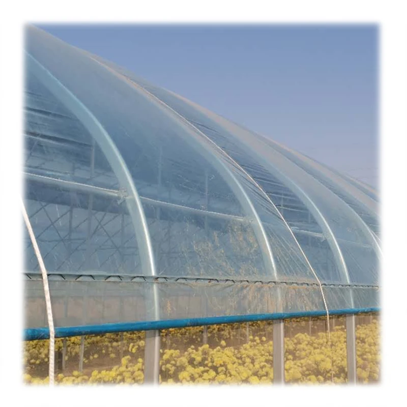 Green house agricultural large plastic film greenhouse China factory