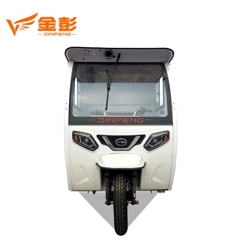 China Supplying Customized 3-Wheel Electric Trike Closed Cargo Wagon 60v Voltage for Adult Passenger Delivery Express