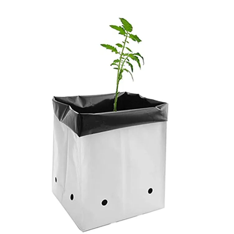 Useful White Plastic Planting Grow Bag Polyethylene Grow Bag For Plants Nursery Seeding Bags Plant Grow