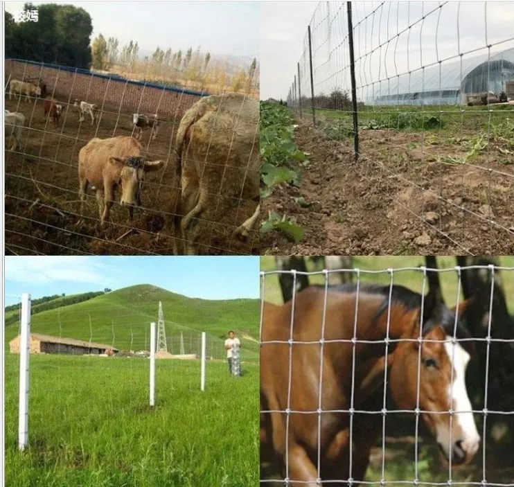 Лидер продаж низкая фермерская ограда Овечья проволочная сетка забор
