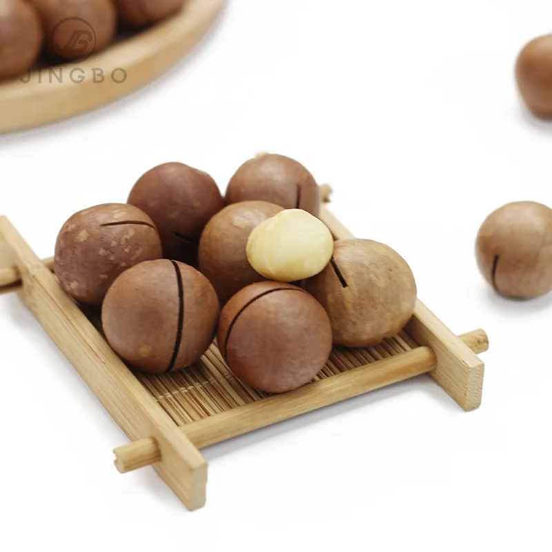Wholesale Price Macadamia Nuts Best Quality in Bulk for Fresh Roasted Style Snacks Food .