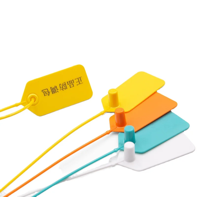 Custom Logo Security Seal Costume Brand Clothing Bags Hat Anti Theft Hang Tag Plastic Padlock