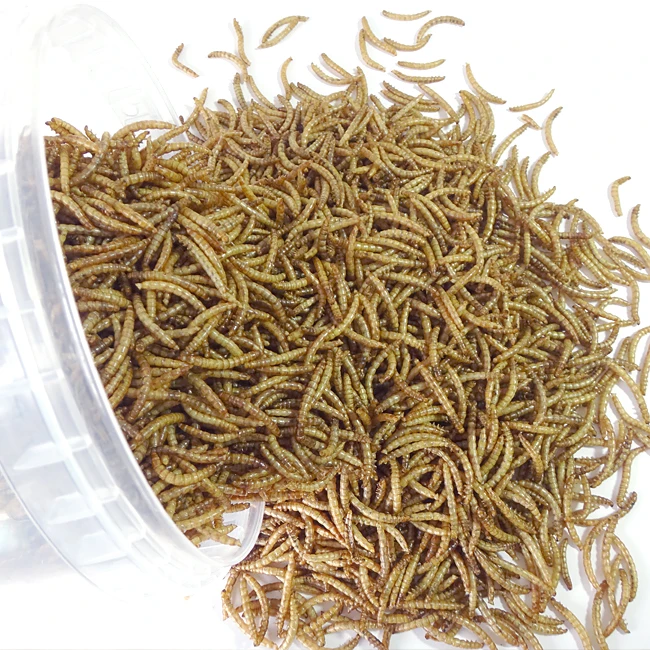 High Nutrition Poultry Chicken Bird Feed Dried Mealworm 800g