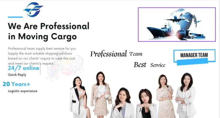 FBA Freight Agent LCL Shipping Companies Dropshipping 1688 Agent China International Sea Free Shipping Agent To USA In China