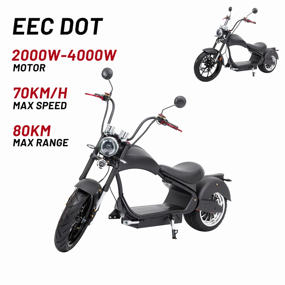 Europe EU COC EEC DOT Drop shipping Electric Ruckus Scooter Mini Citycoco Off Road Motorcycle