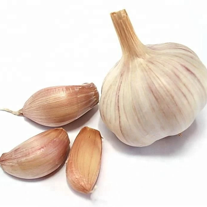 
Agriculture Products Fresh Garlic on sale China fresh garlic price 