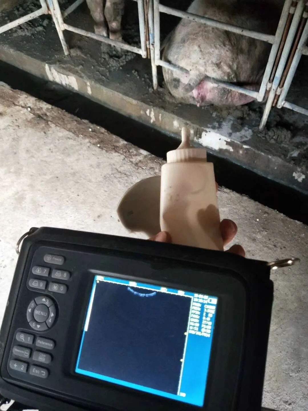 Handscan Pig Cattle Cow Bovine Equine Pregnancy Veterinary Equipment for Large Animals Veterinary