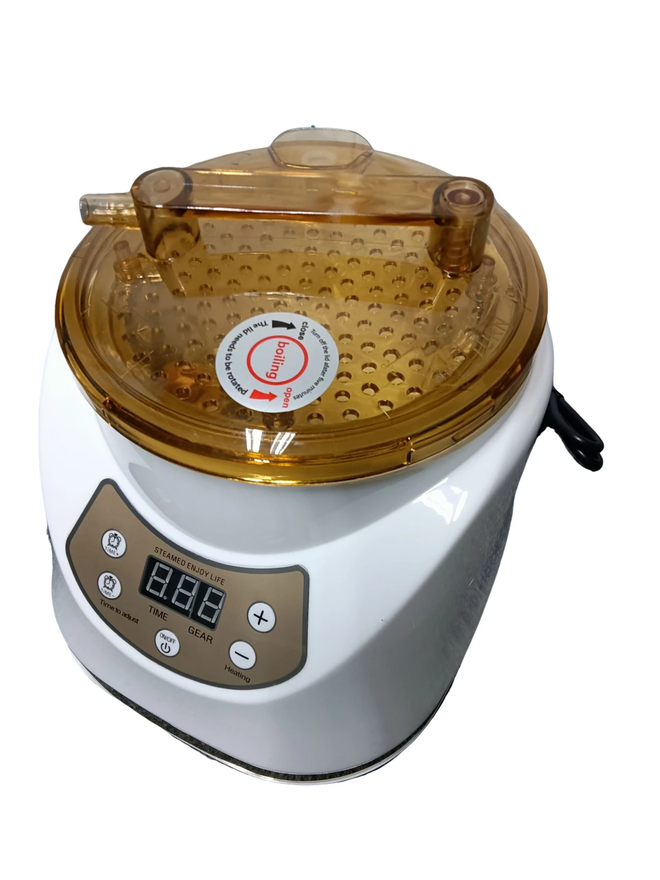 Sauna Steamer Portable Steam Pot Generator with Remote Control