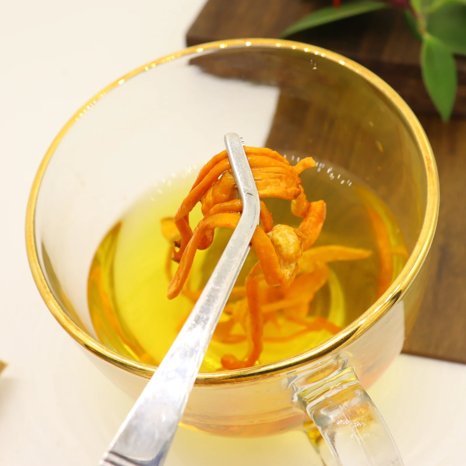 Supply Factory Wholesale High Quality Organic dried cordyceps militaris Mushrooms  tibet Cordyceps militaris powder