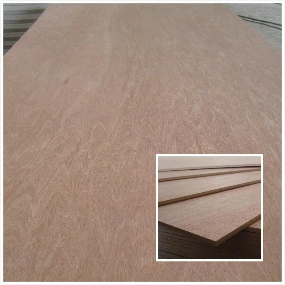 Edlon custom design Best quality of pine plywood commercial okume bintangor plywood raw plywood