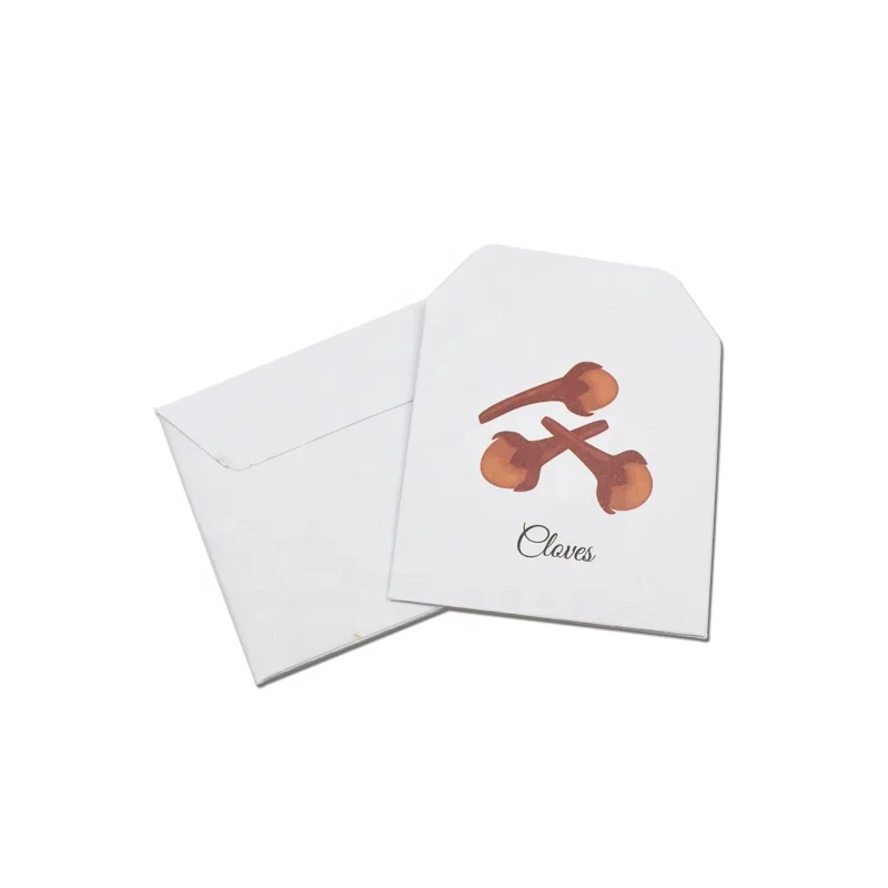 Small Coin Envelopes Kraft Paper Mini Envelopes for Coin and Seed