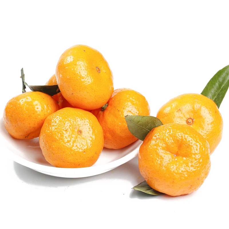 2022  New crop of Fresh citrus fruit Navel Orange Mandarin Orange fruit for wholesale