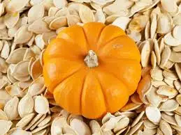 Fresh Pumpkin Seeds Food Snow White Wholesale Raw Grass Seeds Raw White 25/50 kg PP Bag