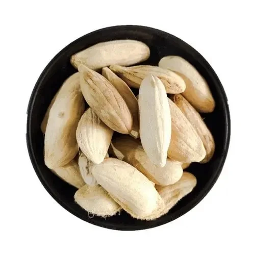 Hot selling mango seeds mango seed powder mango seed extract