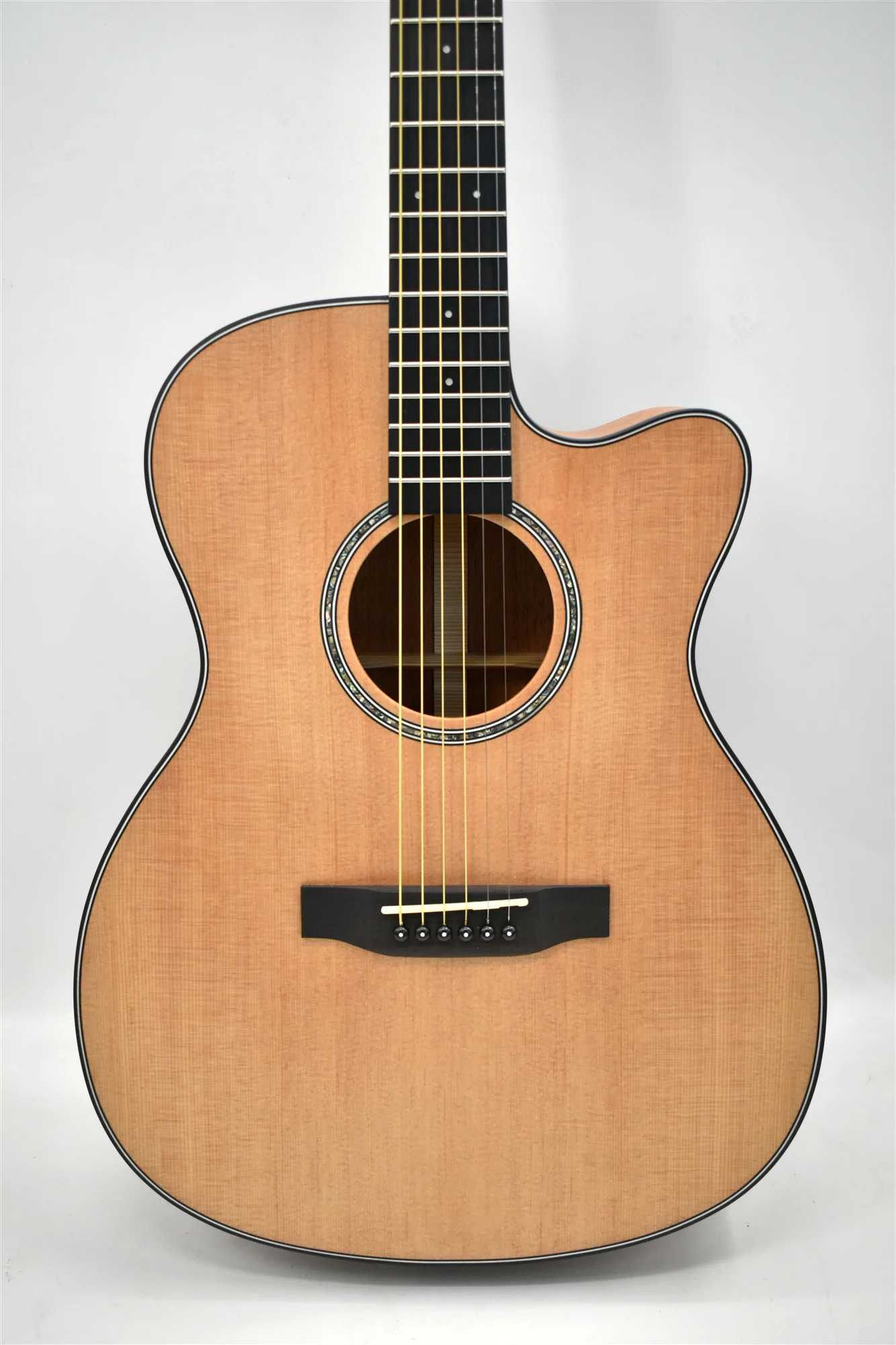 beginner student guitar