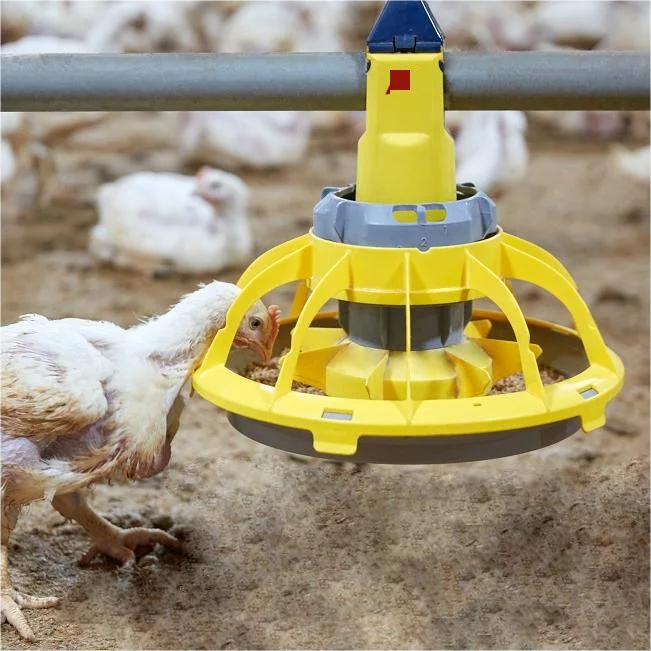 Кормушка для кур и поилка птицеводства сосок caisse de transport poulets ikartmali damacana suluk