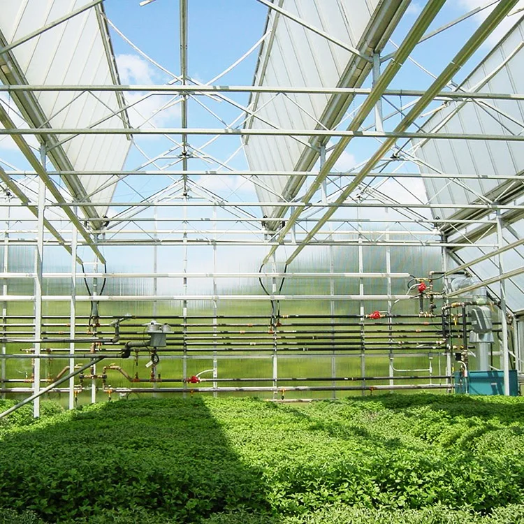 6mm Policarbonato Celular  Laminas De Policarbonato Polycarbonate Sheet