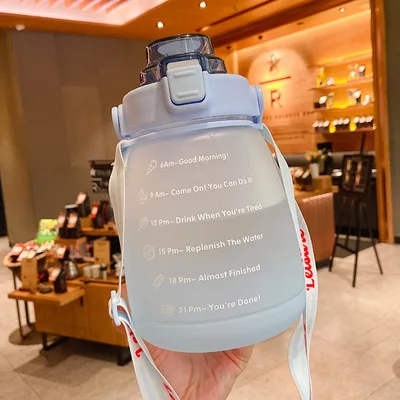 Fashionable Pot-bellied Water Cup Gradient Frosted Portable Anti-fall High-color Plastic Straw Wholesale Products