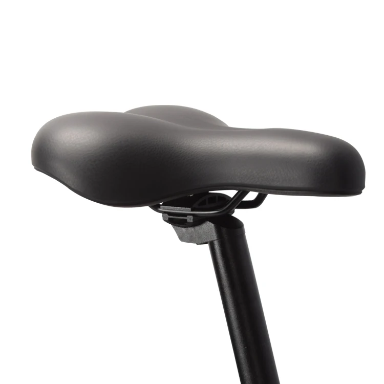 Tianjin Safeway 250w brushless motor electric city bike /women bike 26 inch light electric bike city /700C hidden battery e bike