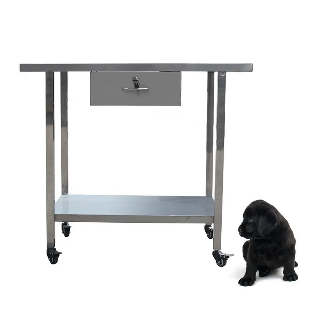Vet Equipment Animal Use Pet Treatment Table Medical dog Examination bed  Veterinary Operating Table