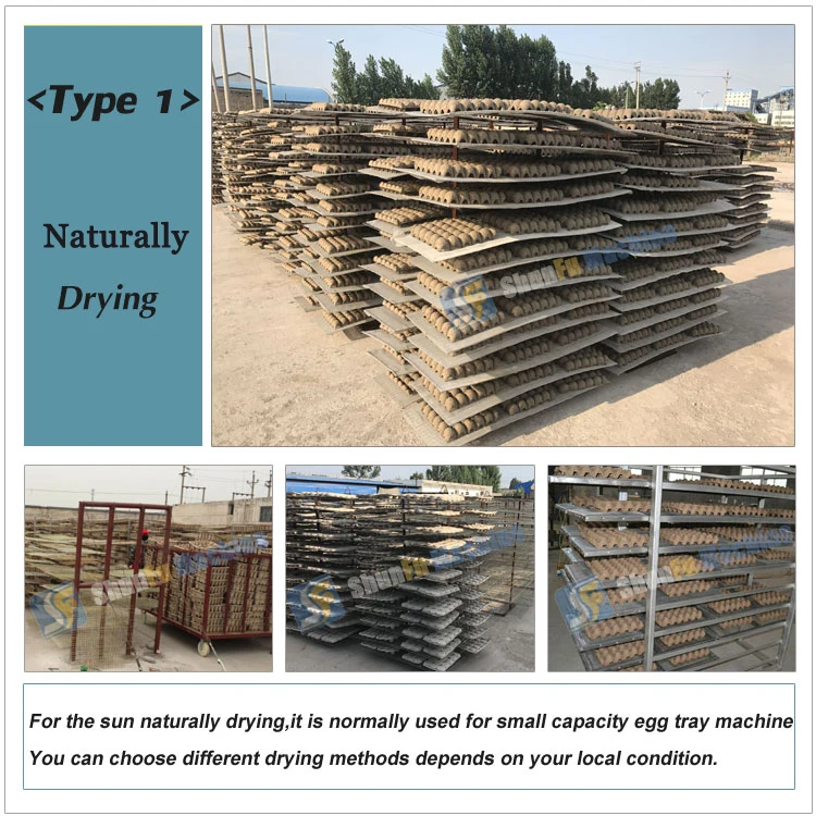 Turkey / Nanya automatic paper egg tray packaging machine factory price