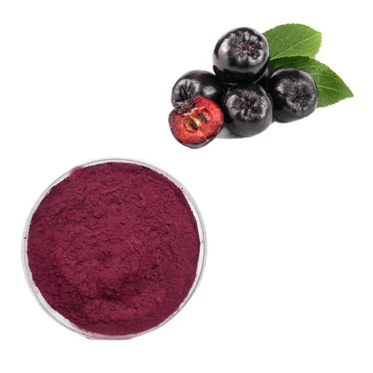 black chokeberry extract