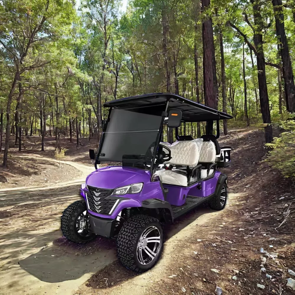 Tong Cai  mirrors set street legal kids 48v motor  Powerful 5Kw Ac Motor Electric Lithium Battery Powered Golf Cart