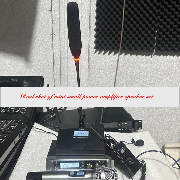 LS300U Multi-level anti-howling One with two U-band receiver FM stage wireless microphone Public Broadcasting Speech Conference